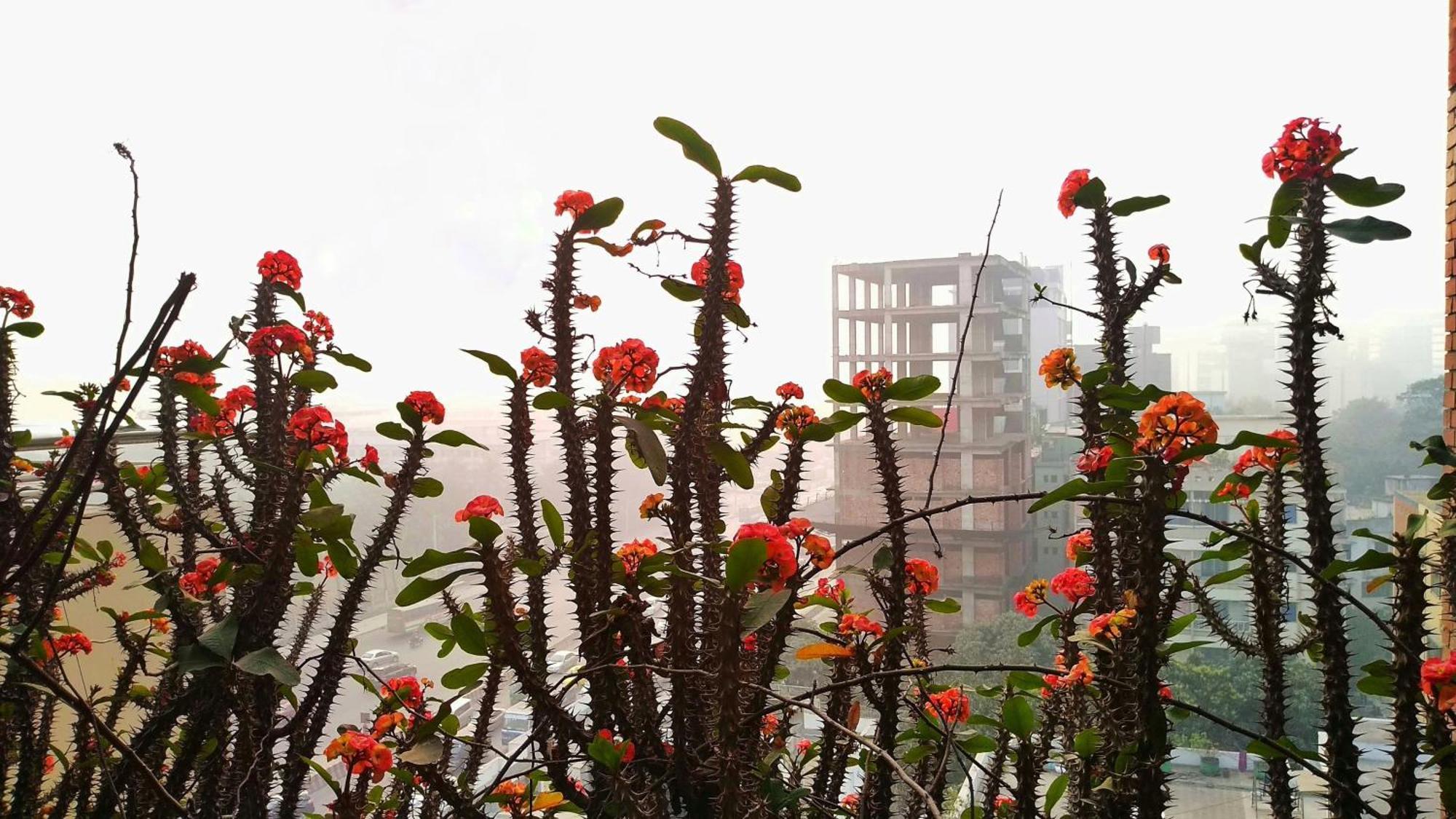 Hotel Afford Inn Dhaka Exterior foto